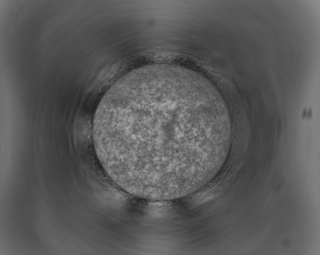 X0000090730240200708031530