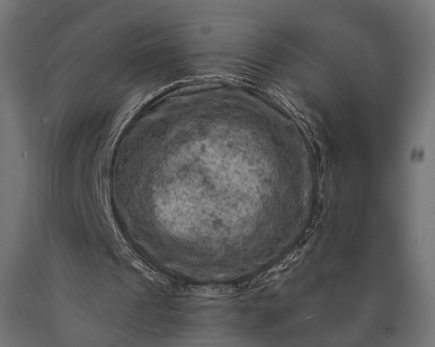 X0000090730241200708031530