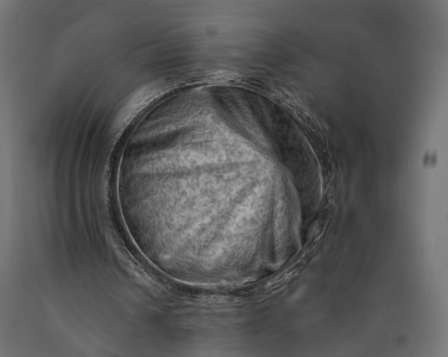 X0000090730242200708031530