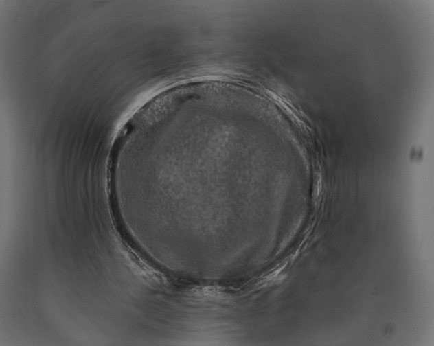 X0000090730244200708031530