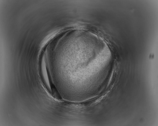 X0000090730245200708031530