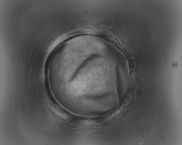 X0000090730246200708031530