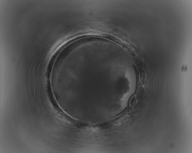 X0000090730247200708031530