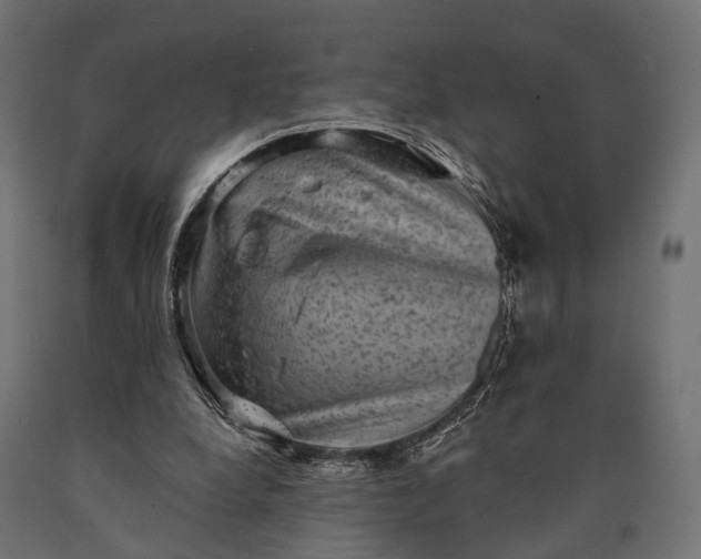 X0000090730248200708031530