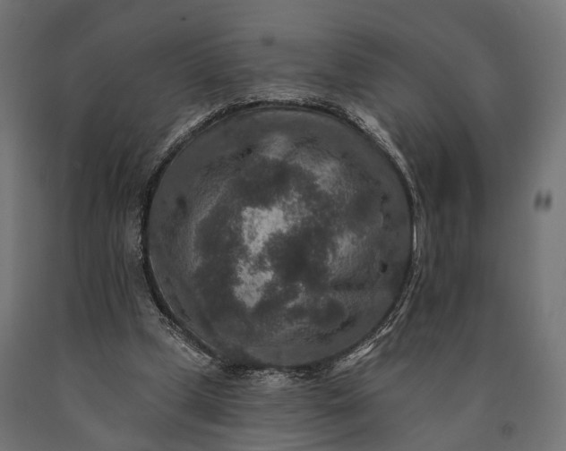 X0000090730249200708031530