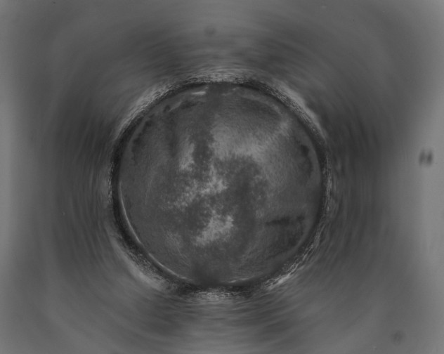 X0000090730250200708031530