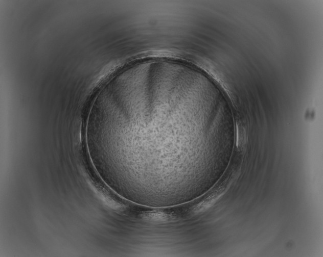 X0000090730253200708031530