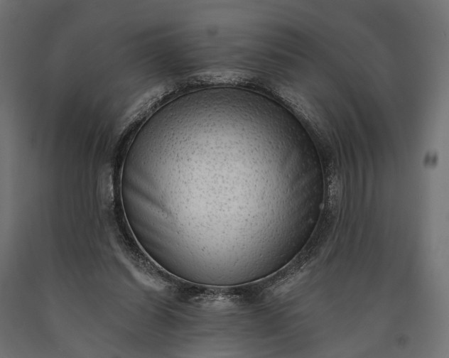 X0000090730254200708031530