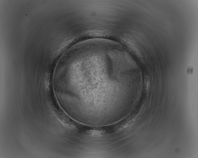 X0000090730255200708031530