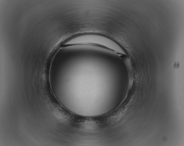 X0000090730256200708031530