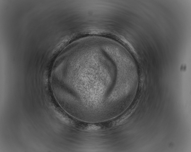 X0000090730257200708031530