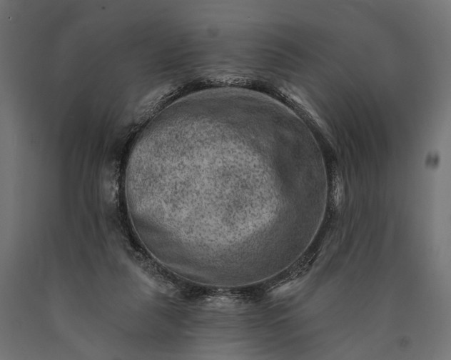 X0000090730259200708031530