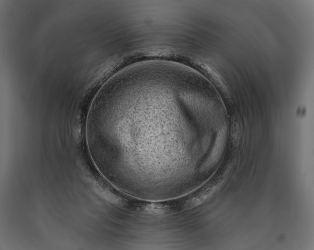 X0000090730261200708031530