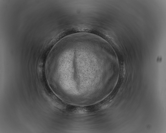 X0000090730263200708031530