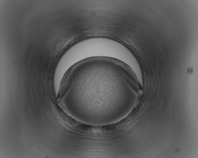 X0000090730264200708031530