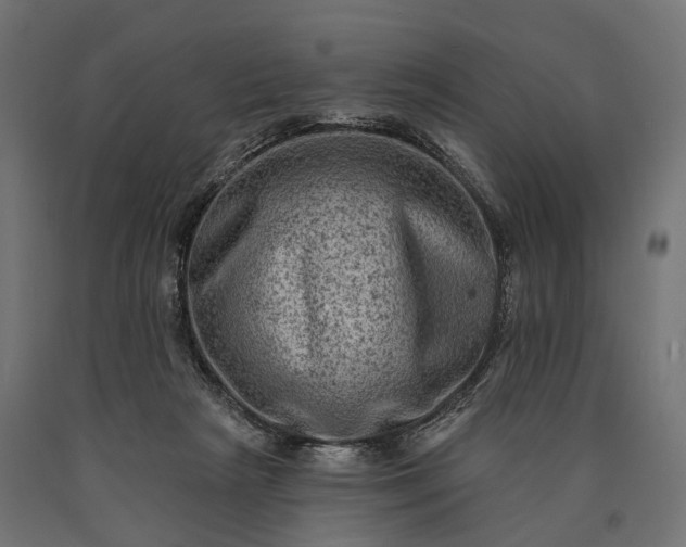 X0000090730265200708031530