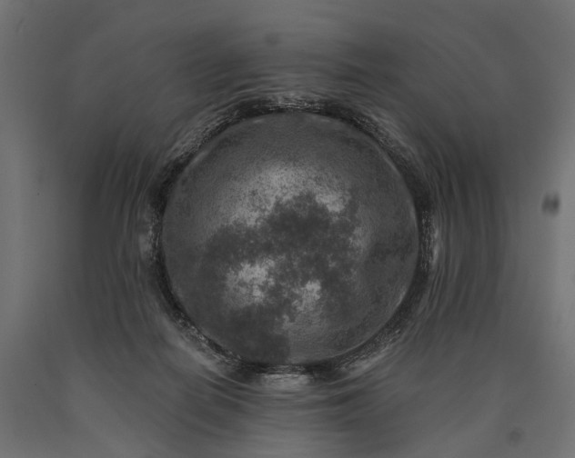 X0000090730266200708031530