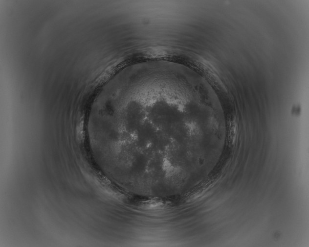 X0000090730267200708031530