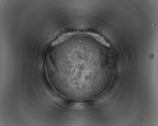 X0000090730268200708031530