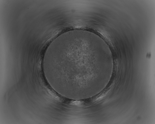 X0000090730269200708031530