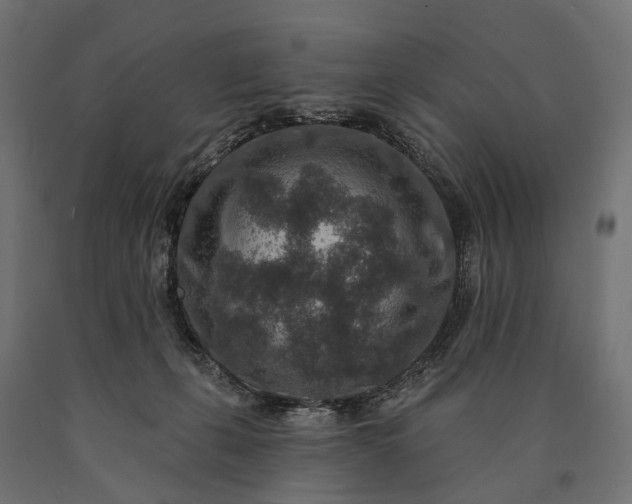 X0000090730271200708031530