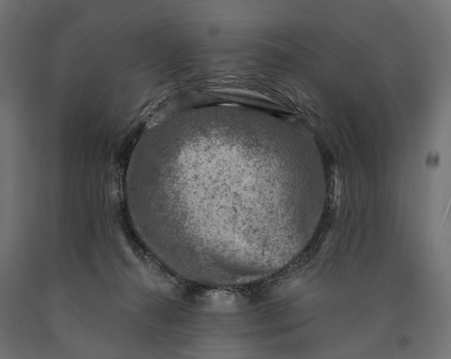 X0000090730272200708031530