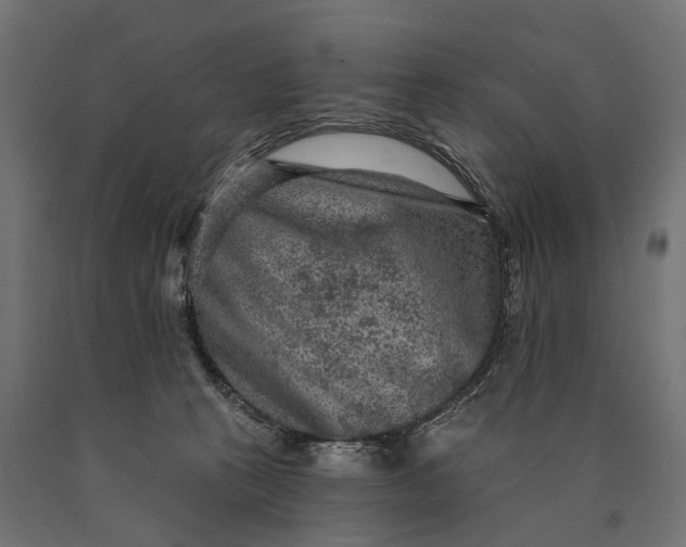 X0000090730273200708031530