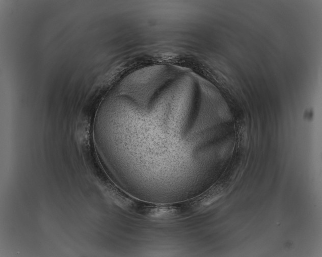 X0000090730274200708031530