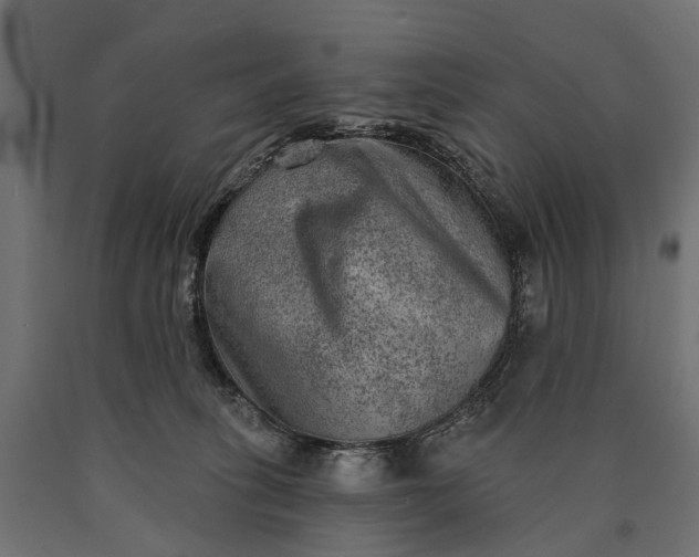 X0000090730275200708031530