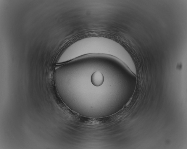 X0000090730276200708031530