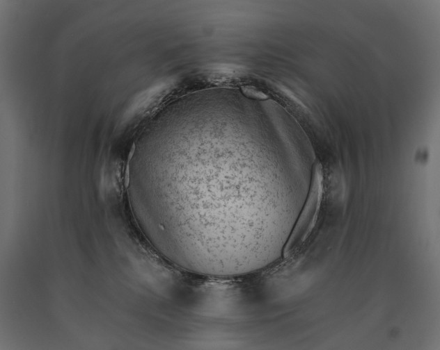 X0000090730280200708031530