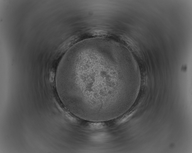 X0000090730281200708031530