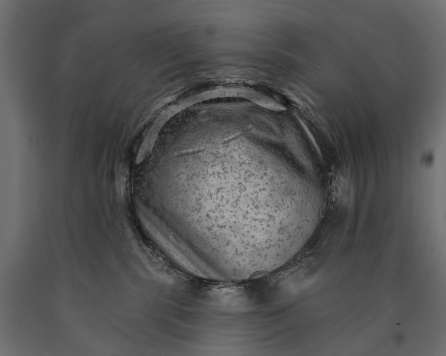 X0000090730283200708031530