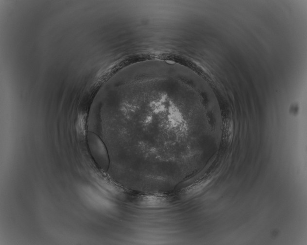 X0000090730286200708031530