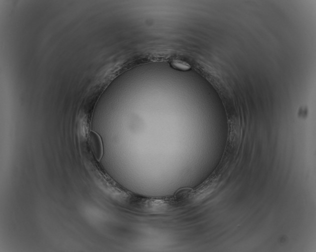 X0000090730287200708031530