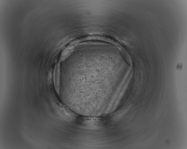 X0000090730288200708031530