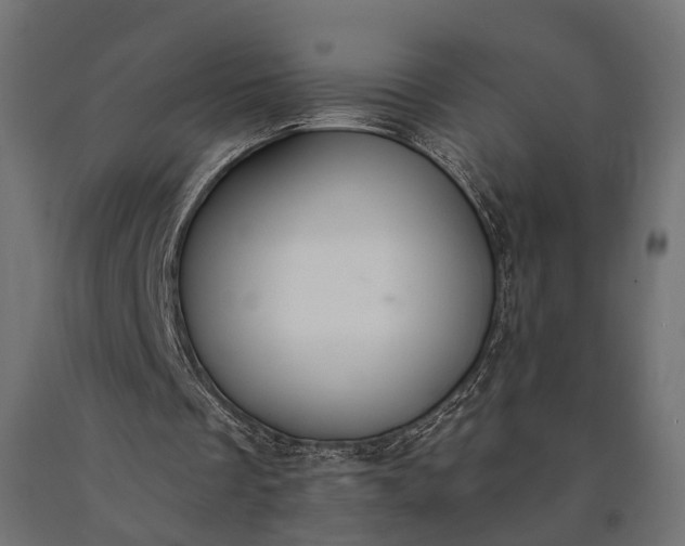 X0000090730289200708031530