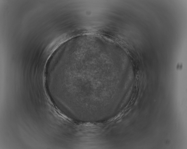 X0000090730290200708031530