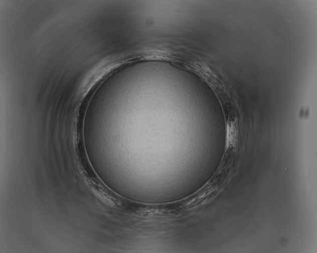 X0000090730291200708031530