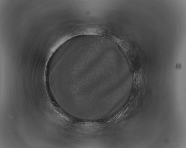 X0000090730292200708031530