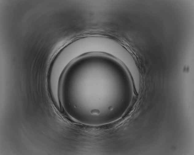 X0000090730293200708031530