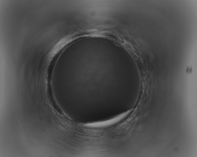 X0000090730295200708031530