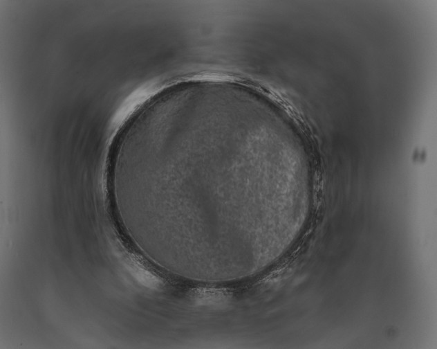 X0000090730296200708031530