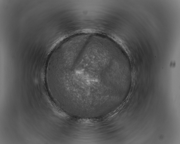 X0000090730297200708031530