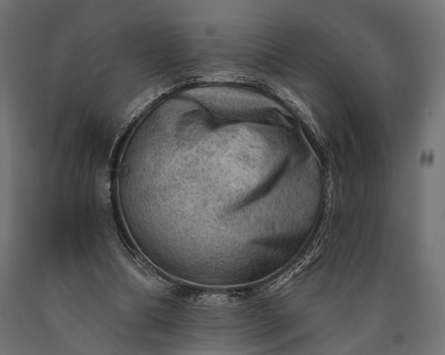 X0000090730298200708031530