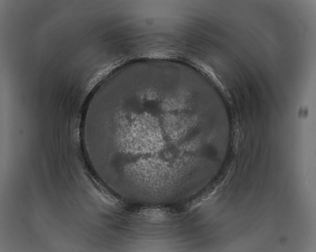 X0000090730299200708031530