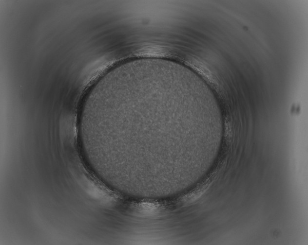 X0000090730302200708031529