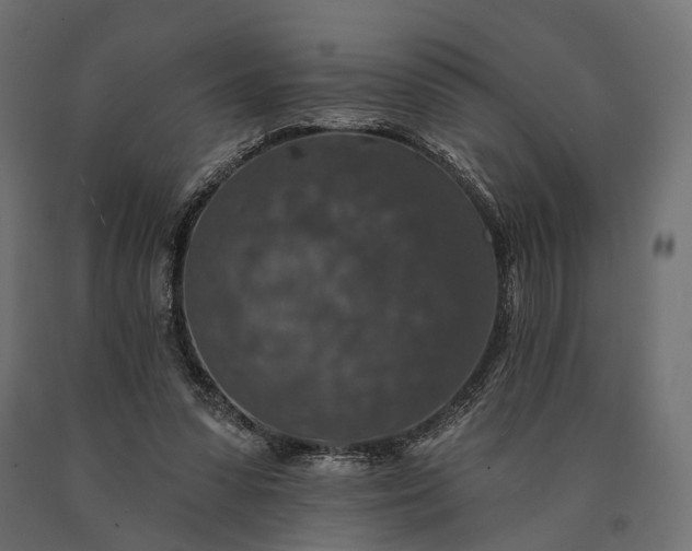 X0000090730303200708031529