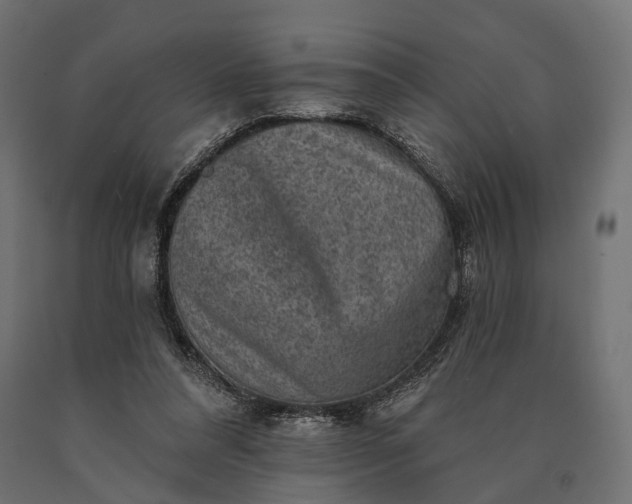 X0000090730304200708031529