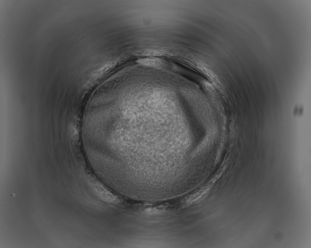 X0000090730305200708031529